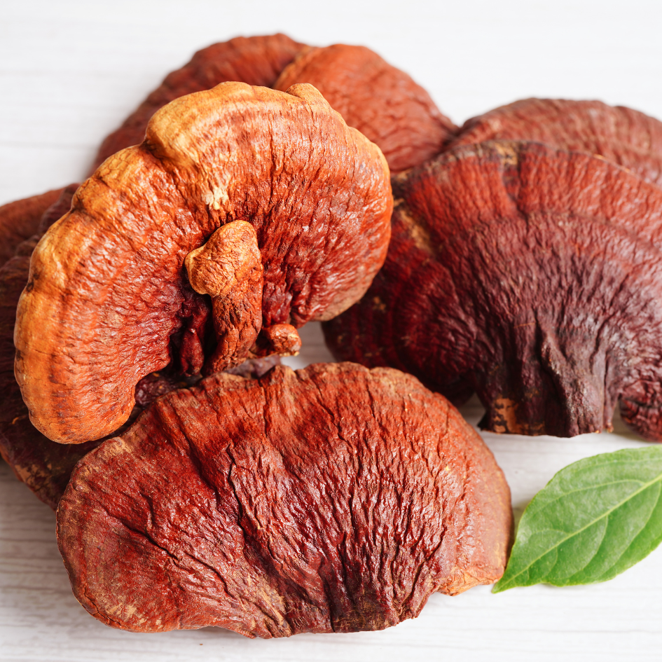 Reishi Mushroom: Science-Backed Benefits for Stress & Immunity